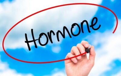 Hormone là gì